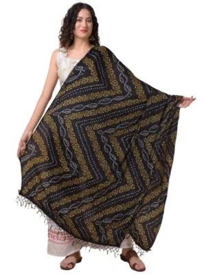 Generic Women's Chanderi Printed Dupatta (Multicolor, Length: 2.25 to 2.50 Mtr)