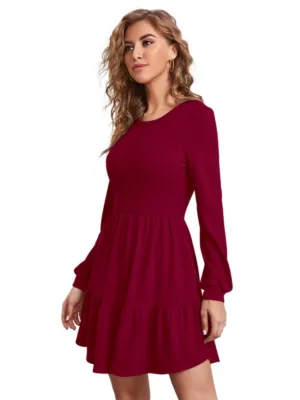 Generic Women's Knitting stretchable Solid Round Neck Full Sleeve Dress (Maroon)