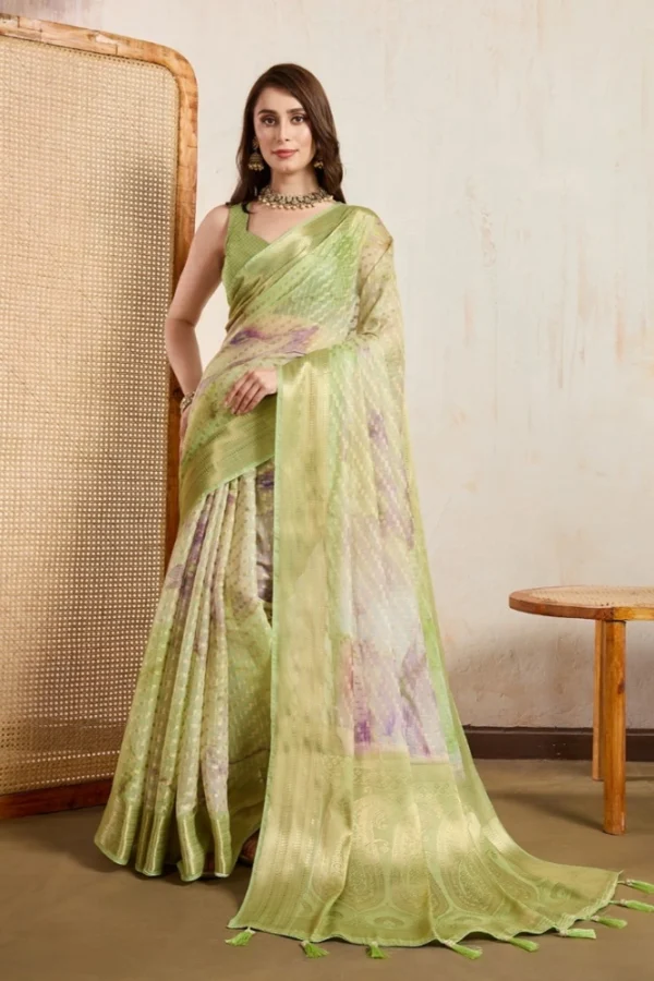 Women's Viscose Printed Saree With Unstitched Blouse 5.5Mtr (Light Green)